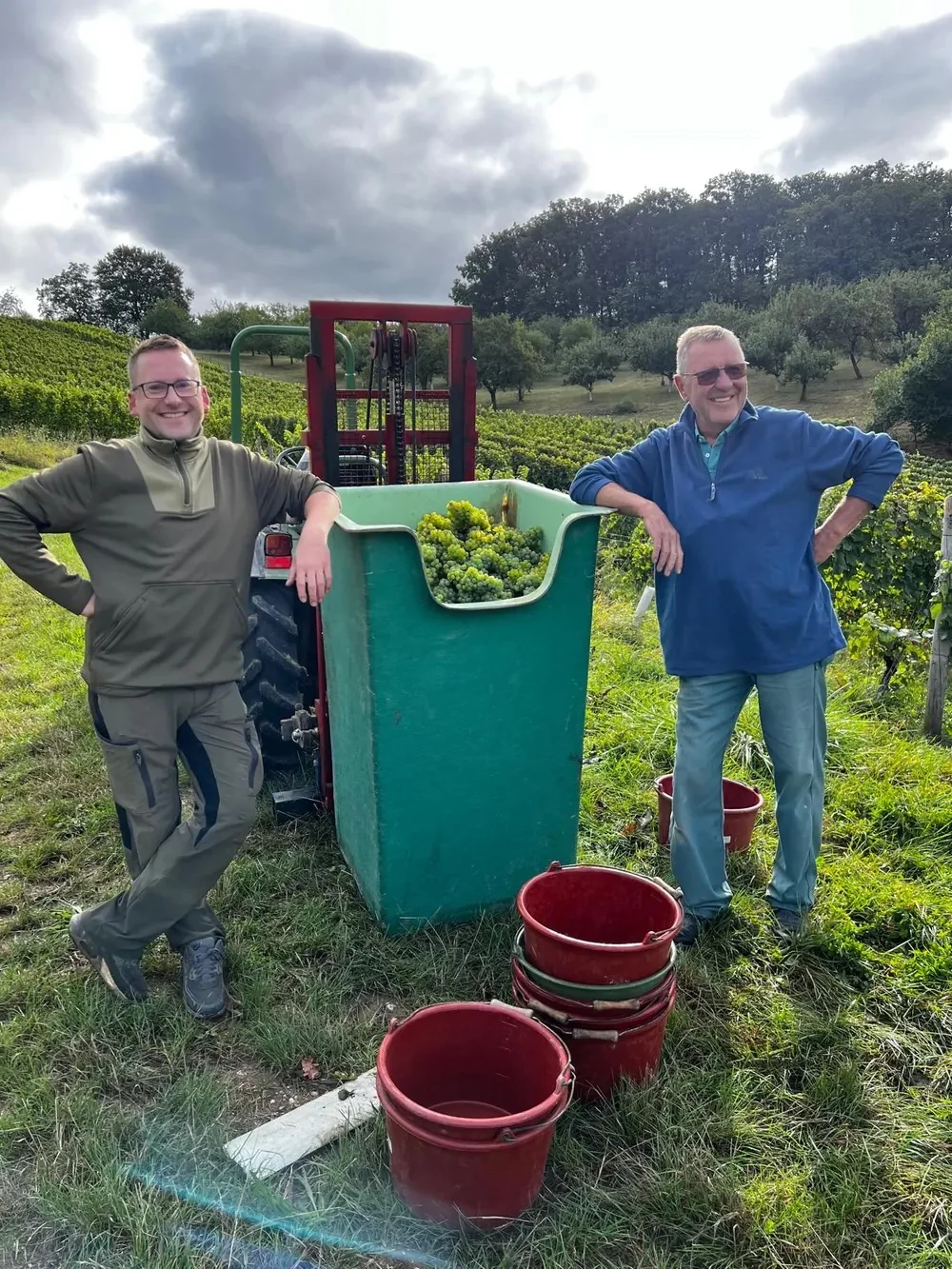 Vater und Sohn bei der Traubenlese am Quellenhof